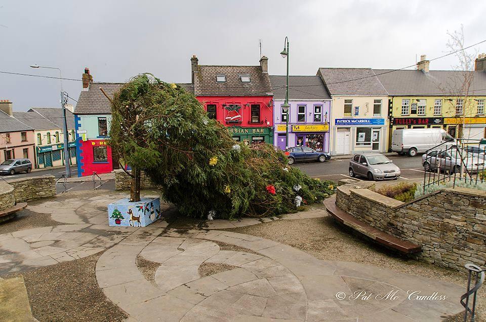 50 Foot Christmas Tree Brought Down In Carndonagh In High Winds