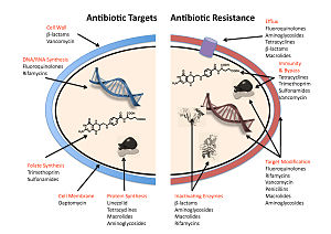 Antibiotic_resistance_mechanisms