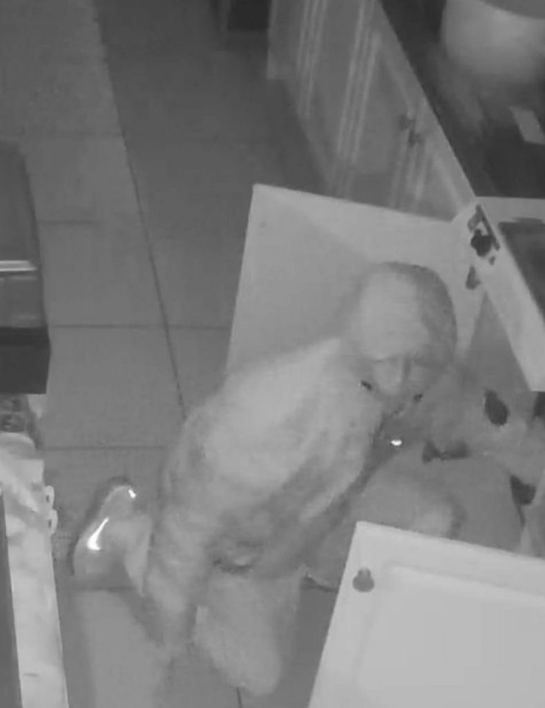 Safe Stolen, Derry Butchers, Highland Radio, News, Letterkenny, Donegal