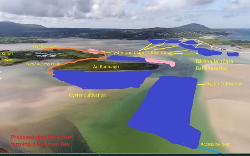 Ballyness Bay, Oyster Licence, Opposition, Highland Radio, News, Letterkenny, Donegal