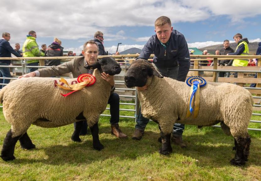 biggest-agricultural-show-in-donegal-is-latest-casualty-highland