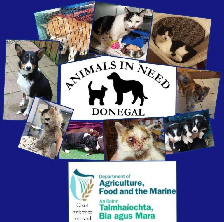 Animals in need donegal