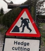 hedge cutting