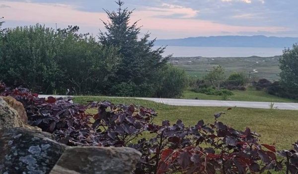 495193242_709333864802732_5259004441348586991_n