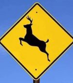 561147023_1133933218919751_7020785389715099904_n