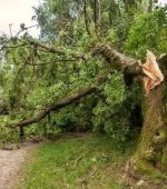 564791546_1283131747160819_4444630465268433144_n