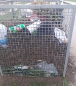 594977180_1158355836475668_5128512114476073372_n