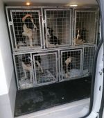 597424984_1256119766540488_2270193041686817206_n