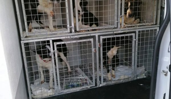 597424984_1256119766540488_2270193041686817206_n