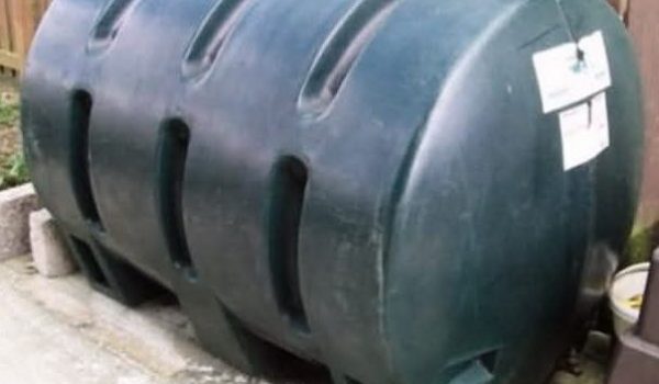 646395381_1249799407333131_1261197576455139863_n