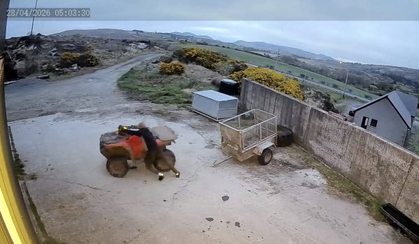 682922361_26533448386283089_4171147581250075970_n