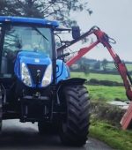 hedge cutting