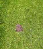 BS Golf damage 1