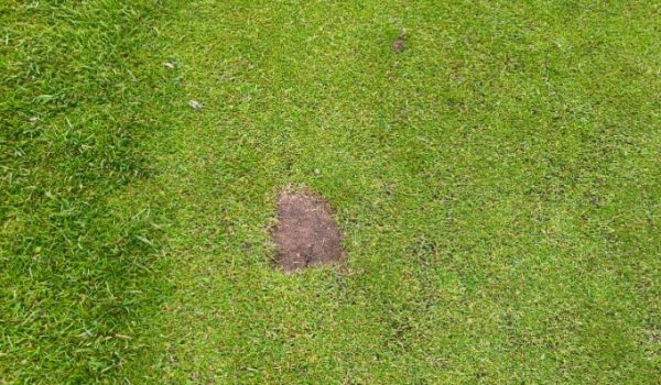 BS Golf damage 1