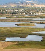 CA-tidal-marsh_Peter-Moyle-UC-Davis-scaled