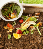 Compost Recycling Food Waste