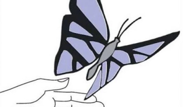 Donegal Domestic Violence Services logo