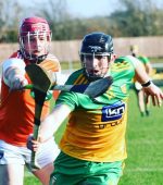 Donegal Hurlers v Armagh