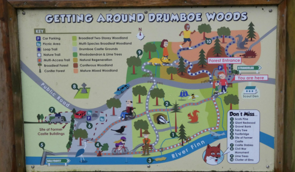 Drumboe Woods