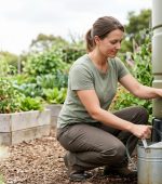 A woman is crouching in a vibrant vegetable garden, filling a galvanized metal watering can with water from a large, green plastic rainwater harvesting tank. She is wearing a green t-shirt and brown work pants. She holds the handle of the watering can while turning the brass tap on the tank. The background features raised wooden garden beds filled with various healthy, green leafy vegetables and plants, demonstrating sustainable gardening practices.