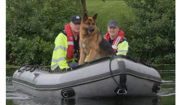 Garda Dog