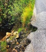 Glen Road, Annagry, Anagarie