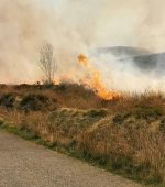 Gorse Fires 1