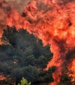 Greek Wildfires