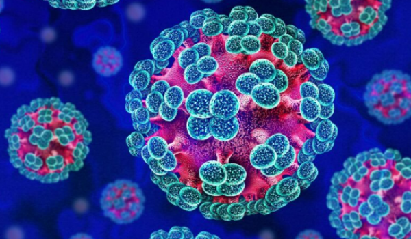 Hantavirus