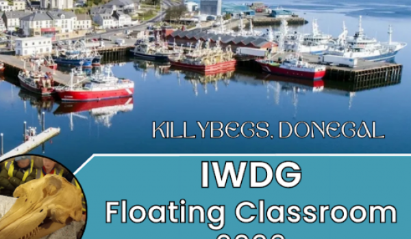 IWDG 1