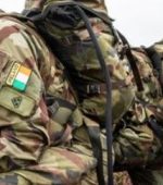 Irish Army