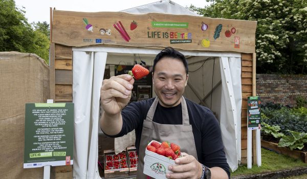 Kwanghi Chan, Instagram Influencer & TV Chef