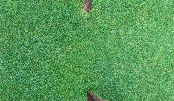 Letterkenny Golf Club Damage