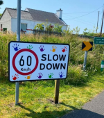 Lettermacaward Slow Down