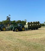 Making silage bales