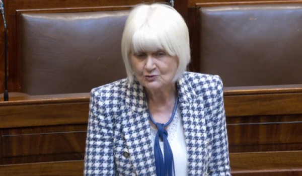 Marian Harkin Dail 1