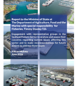 Mulvey Report