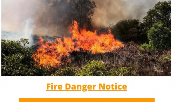 Orange fire