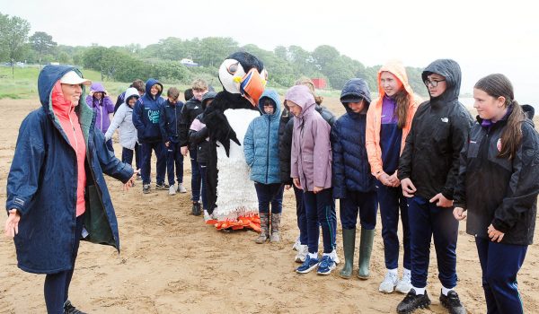 5th and 6th class from Scoil an Linbh Íosa were the lucky winners of a free beach exploration workshop at Rathmullen Beach as part of the Green-Schools SeaKeepers Project.
Green Schools, Rathmullen, Donegal. Photo- Gerard McHugh-  CW PHotos Ltd.