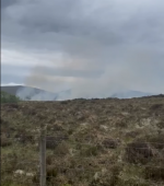 Screenshot 2025-05-11 144940