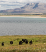 Screenshot 2025-08-22 191301