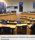 Screenshot 2025-10-14 113908