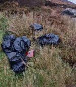 Screenshot 2025-10-20 075429