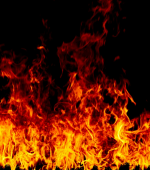 Screenshot 2025-10-31 122831