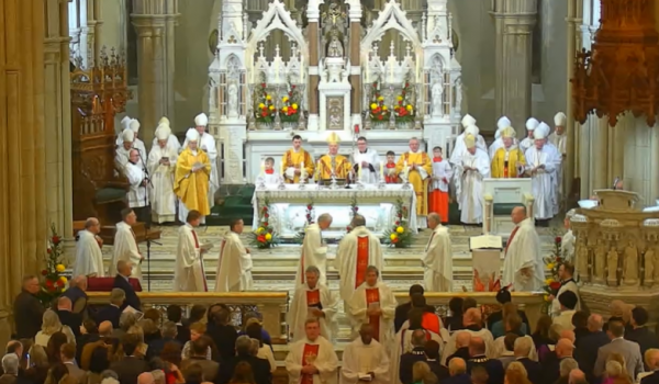 Screenshot 2026-01-25 172209