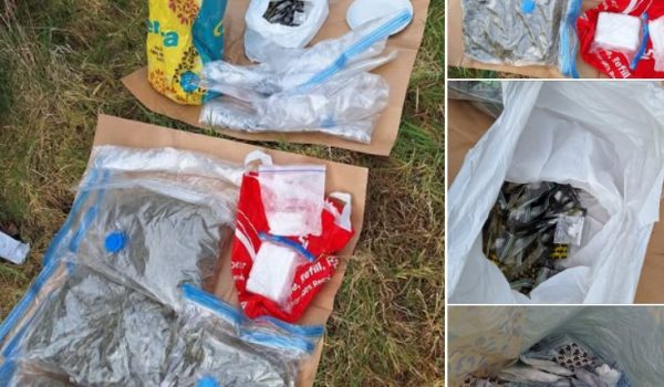 Screenshot 2026-03-19 121252