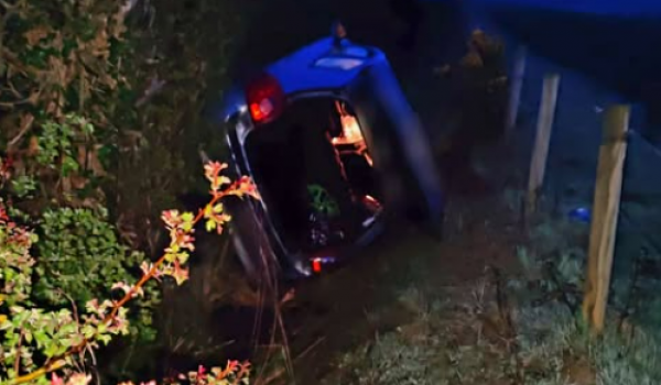 Screenshot 2026-04-29 164945