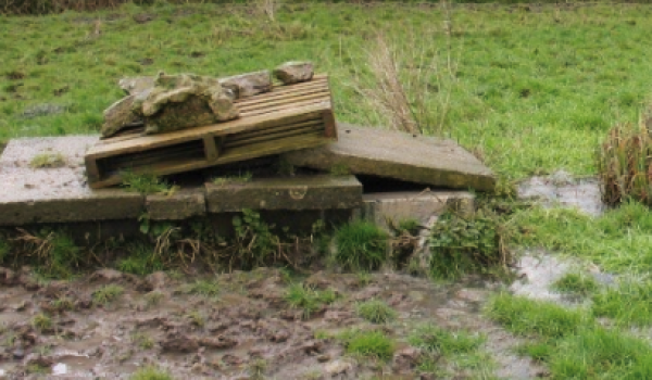 Screenshot 2026-05-19 070931