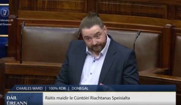 Screenshot_25-2-2026_155237_www.oireachtas.ie