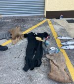 Seized wetsuit, snorkel and three salmon